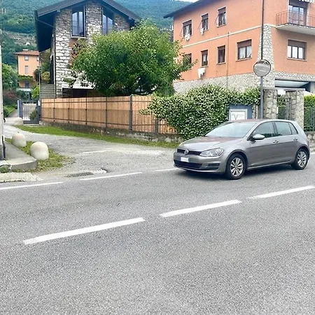 Ibiscus Di *