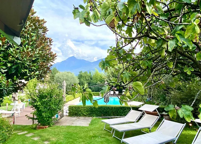 Ibiscus Di * דונגו