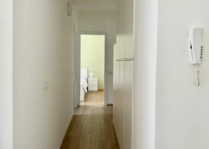 Ibiscus Di ドンゴ