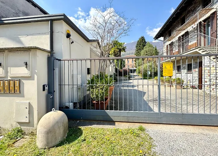 Ibiscus Di ドンゴ