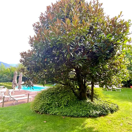 Apartamento Ibiscus Di