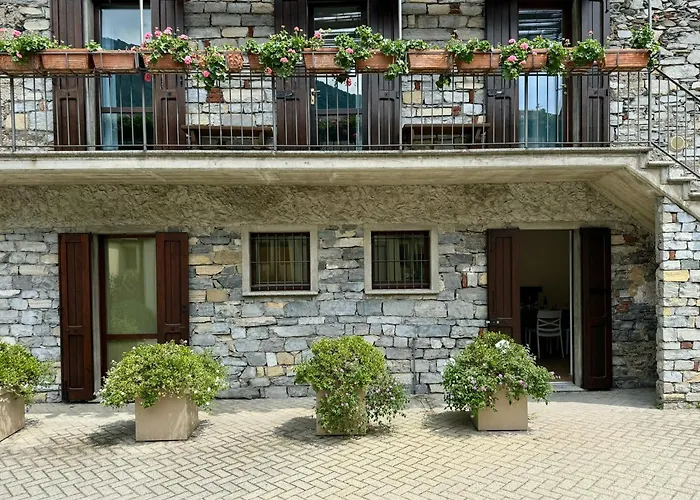 Ibiscus Di Apartamento *